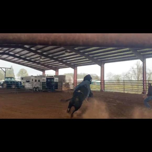 Meet your Posher, Austin - Picture 1 of 1